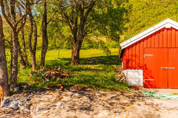 Scenic View Norwegian Village Cute House Dandelions — Stock Photo, Image