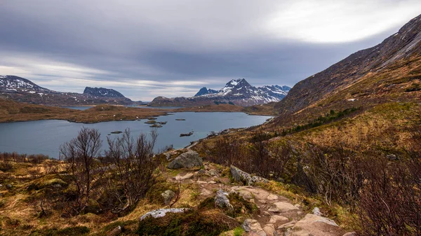 Szenische Ansicht Der Norwegischen Landschaft — Stockfoto