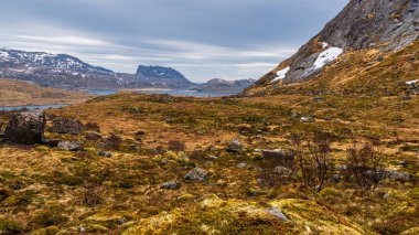 Scenic view of Norwegian landscape   clipart
