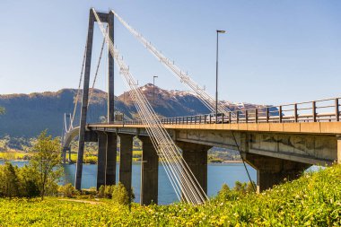 Norveç manzarası manzaralı bir yer. Köprü