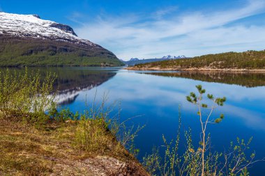 Norveç manzarası manzarası   
