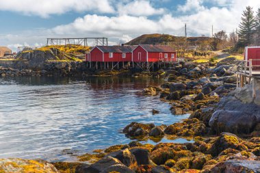 Norveç köyünün manzaralı şirin evleri