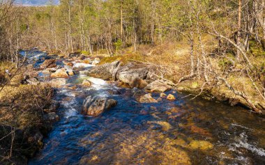 Norveç manzarası manzaralı bir yer. Dağ pınarı  