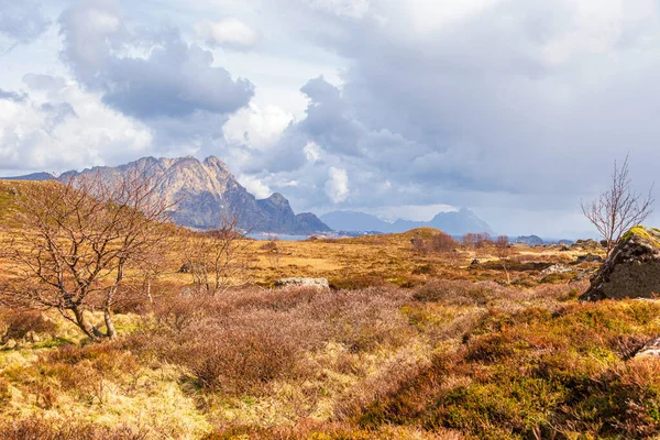 Vue Panoramique Paysage Norvégien — Photo