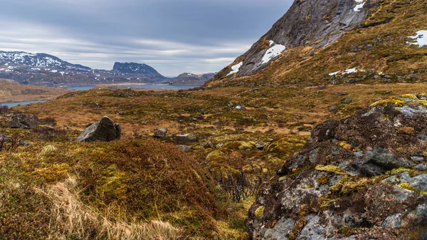 Naturskön Utsikt Över Norskt Landskap — Stockfoto