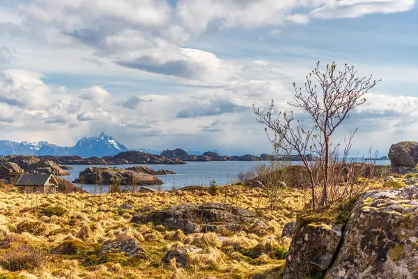 ノルウェーの風景風景 — ストック写真