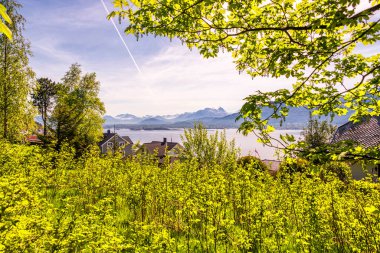 Ağaçlarda, gölde ve dağlarda yeşil yapraklar 
