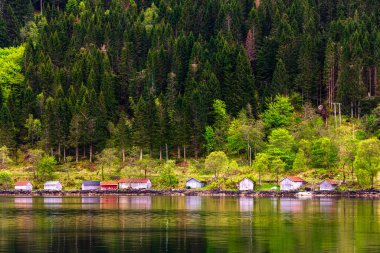 çam ağaçları, göl suyu ve ahşap evler 