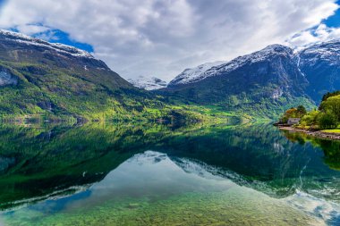yeşil yaz bitkileri ve ağaçlar, yansımalı göl suyu 