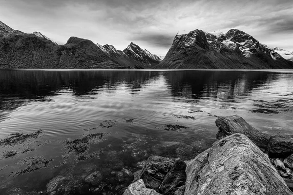 Schwarz Weiß Aufnahme Felsen Seewasser Der Natur — Stockfoto