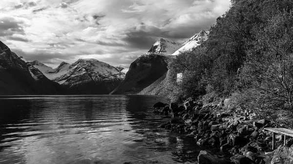 Black White Nature Photo Lake Nature — Stock Photo, Image