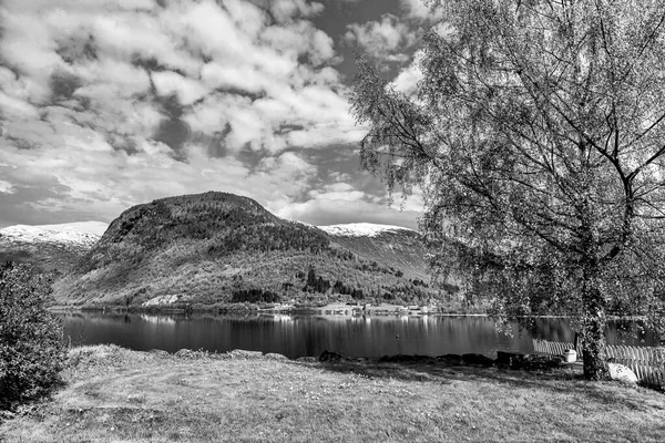 Foto Naturaleza Blanco Negro Con Lago Naturaleza — Foto de Stock