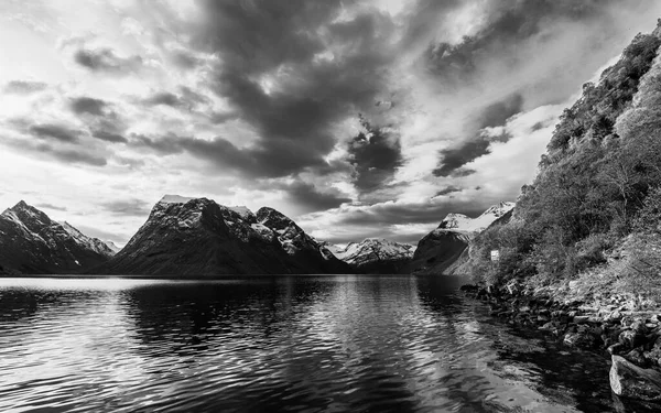 Beauty Nature Black White Nature Photo Lake Water — Stock Photo, Image