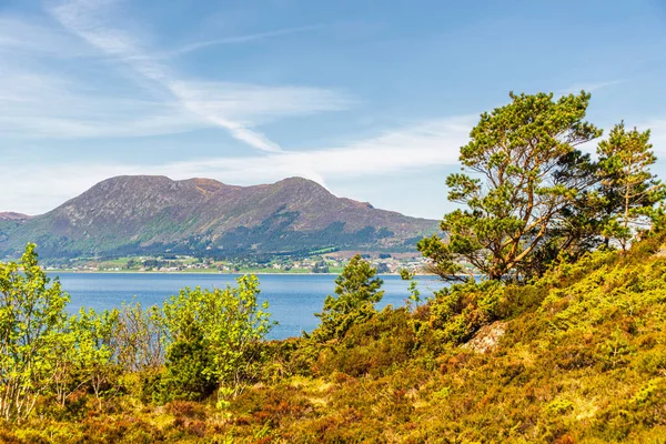 Stock image green leaves on trees, lake and mountains 