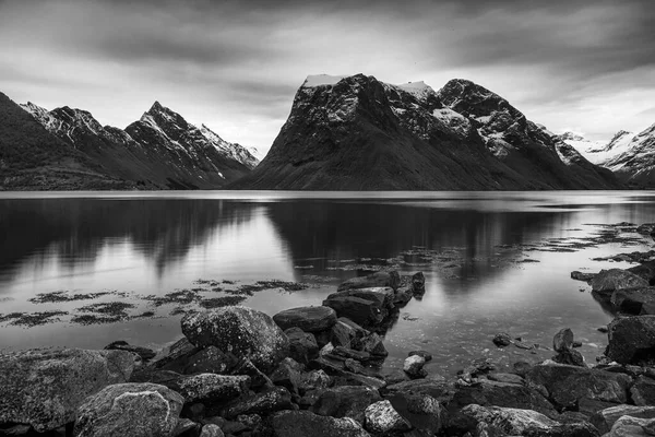 Schwarz Weiß Aufnahme Felsen Seewasser Der Natur — Stockfoto