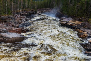 Nehir suyu vahşi doğada akar. 
