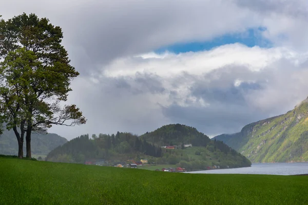 See Den Bergen Baum Auf Der Wiese Und Blauer Himmel — Stockfoto
