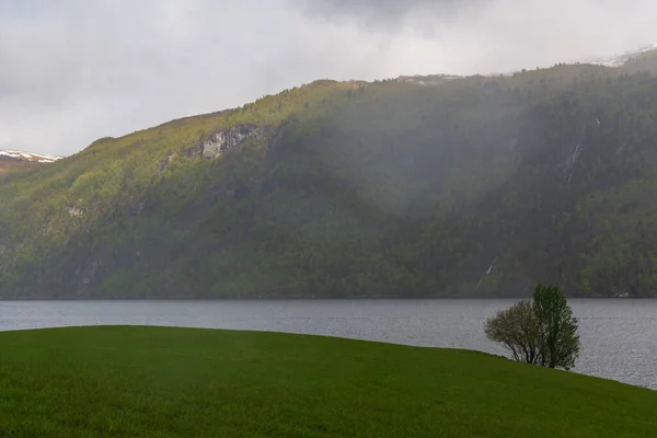 Sjö Berg Och Grön Gräsäng Med Träd — Stockfoto