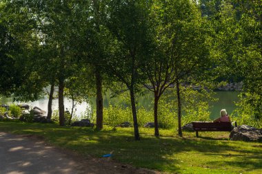 Sakin bir nehir ve yemyeşil bitki örtüsüyle güzel doğal bir manzara.