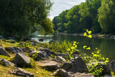 Sakin bir nehir ve yemyeşil bitki örtüsüyle güzel doğal bir manzara.