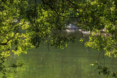 Sakin bir nehir ve yemyeşil bitki örtüsüyle güzel doğal bir manzara.