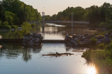 Sakin bir nehir ve yemyeşil bitki örtüsüyle güzel doğal bir manzara.