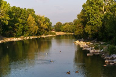 Sakin bir nehir ve yemyeşil bitki örtüsüyle güzel doğal bir manzara.