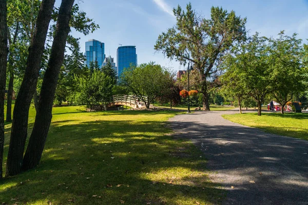 Hermosa Vista Del Parque Verde Ciudad — Foto de Stock