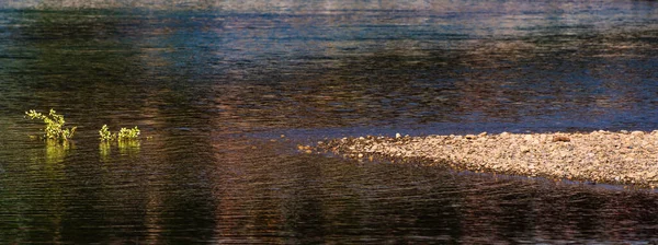 Piękna Scena Naturalna Spokojną Rzeką Bujną Roślinnością Rano — Zdjęcie stockowe