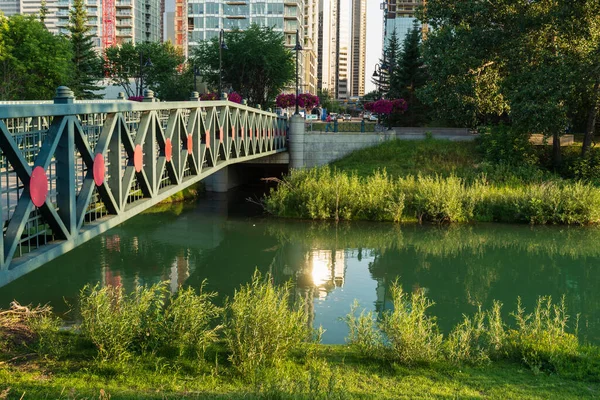 Hermosa Escena Natural Con Río Tranquilo Exuberante Vegetación Mañana —  Fotos de Stock