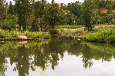 Sakin bir nehir ve yemyeşil bitki örtüsüyle güzel doğal bir manzara.