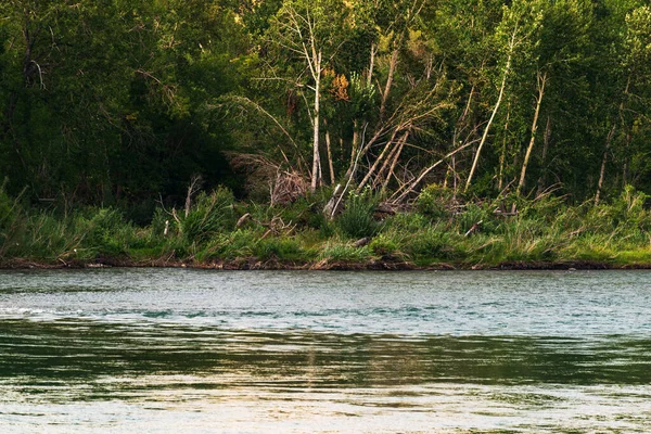 Sakin bir nehir ve yemyeşil bitki örtüsüyle güzel doğal bir manzara.