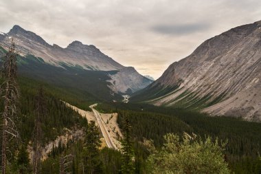 Dağlarda yemyeşil bitki örtüsü olan güzel bir manzara, Jasper Ulusal Parkı, Alberta, Kanada