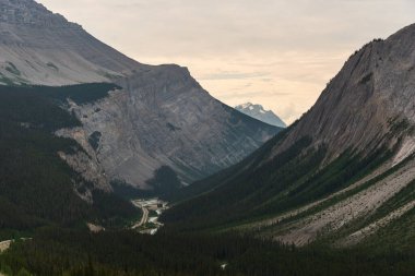 Banff Ulusal Parkı, Alberta, Kanada 'daki görkemli dağ manzarası