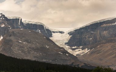 Athabaska Fall, Alberta, Kanada 'lı güzel doğal manzara