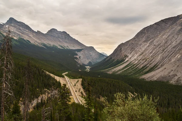 Dağlarda yemyeşil bitki örtüsü olan güzel bir manzara, Jasper Ulusal Parkı, Alberta, Kanada