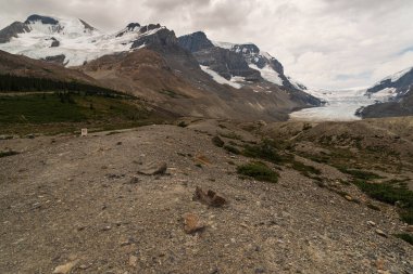 Banff Ulusal Parkı, Alberta, Kanada 'daki görkemli dağ manzarası