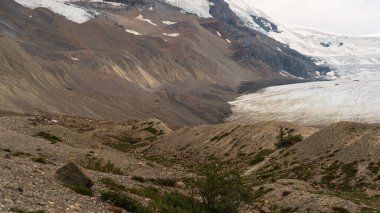 Athabaska Fall, Alberta, Kanada 'lı güzel doğal manzara