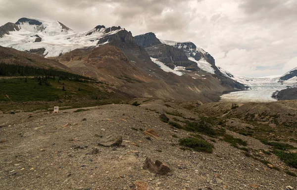Athabaska Fall Alberta Kanada Güzel Doğal Manzara — Stok fotoğraf