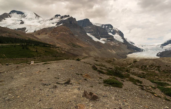 Beautiful Natural Scenery Athabaska Fall Alberta Canada — Stock Photo, Image