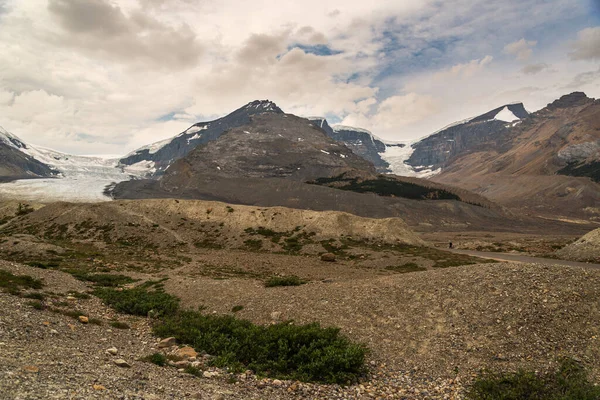 Piękne Krajobrazy Naturalne Athabaska Upadku Alberta Kanada — Zdjęcie stockowe