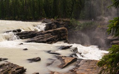 Athabaska Fall, Alberta, Kanada 'lı güzel doğal manzara