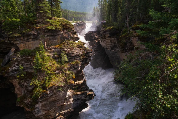 Beaux Paysages Naturels Avec Chute Athabaska Alberta Canada — Photo