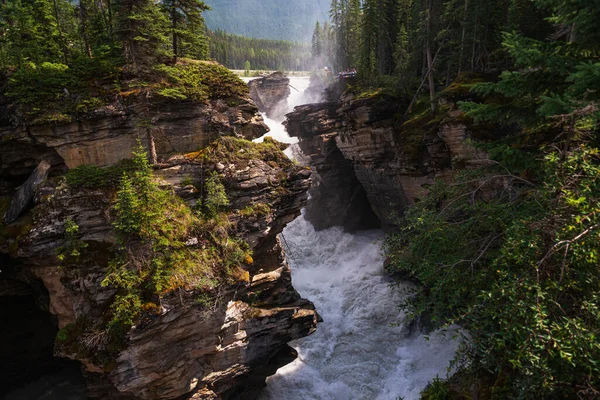 Bellissimo Scenario Naturale Con Caduta Athabaska Alberta Canada — Foto Stock