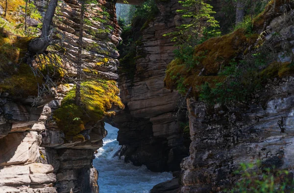 Bellissimo Scenario Naturale Con Caduta Athabaska Alberta Canada — Foto Stock