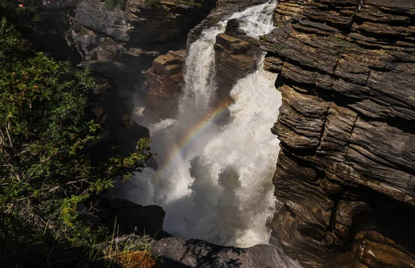 Bellissimo Scenario Naturale Con Caduta Athabaska Alberta Canada — Foto Stock