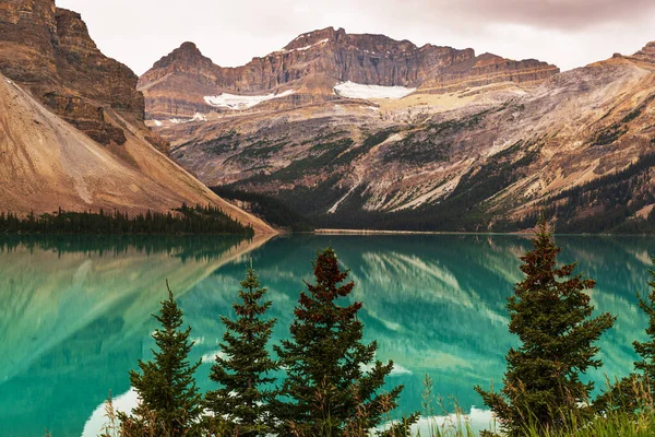 Величественные Природные Пейзажи Горами Национальном Парке Банф Альберта Канада — стоковое фото