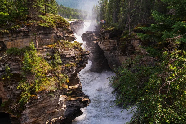アタバスカの滝アルベルタカナダの美しい自然景観 — ストック写真