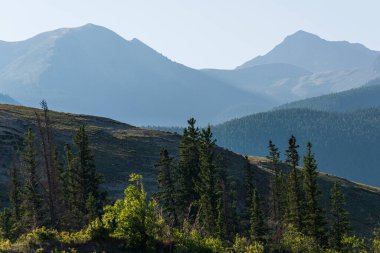 Dağlarda yemyeşil bitki örtüsü olan güzel bir manzara, Jasper Ulusal Parkı, Alberta, Kanada