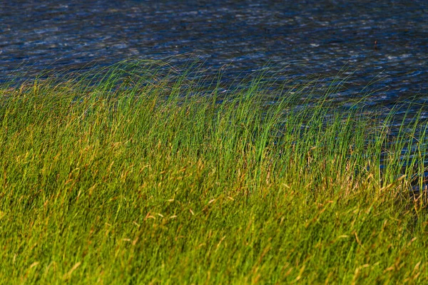 Vue Naturelle Panoramique Avec Plan Eau Calme Dans Parc National — Photo